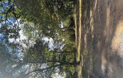 Dennis Road, Russellville, KY 42276