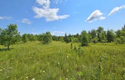 TBD Bauer, Hardwood, MI 49831