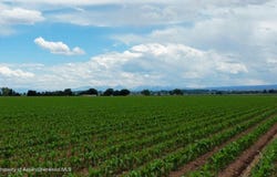 Banner Road, Delta, CO 81416