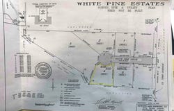 V/L-4 WHITE PINE DRIVE, HART, MI 49420