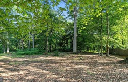 129 WHITE MARSH ROAD, CENTREVILLE, MD 21617