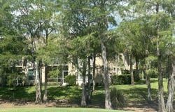 3715 BUTTONWOOD Way unit: 1711, Naples, FL 34112