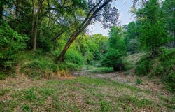 196 Willy RD, Bastrop, TX 78602