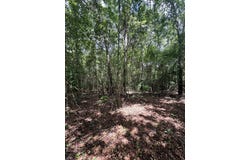 4130 GA HWY 0026, BUENA VISTA, GA 31803