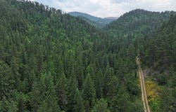 TBD Cutting Mine Road, Lead, SD 57754