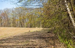 W1349 Hurlburt Road, Mondovi, WI 54755