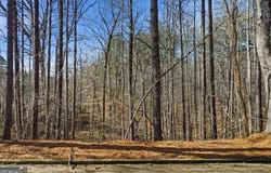 Sixes Road, Canton, GA 30114