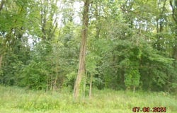 15955 S 29th Street, Vicksburg, MI 49097