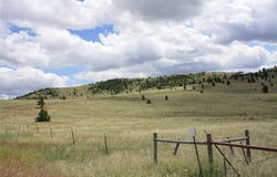 Gregson Lane, Ramsay, MT 59748
