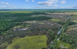 TBD Yates Creek Road, Perry, FL 32348