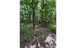 TBD2 Gum Springs  RD, Parthenon, AR 72666