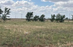 10412 Private Rd 5860, Shallowater, TX 79363