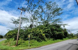15-1746 9TH AVE, Keaau, HI 96749