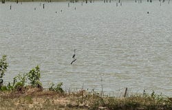117 County Road 464, Eastland, TX 76448