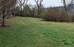Antler Drive, McGrady, NC 28649
