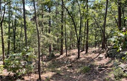 175-N Sherman Road, Moyers, OK 74557
