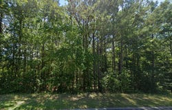 1096 Buckner, Junction City, GA 31812