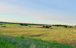 975 County Rd 458 (10 Acres), Coupland, TX 78615