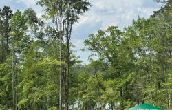 0 Lookout Tower Road, Friendship, LA 71008