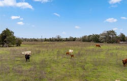 533 L2 Grassyville RD, Paige, TX 78659