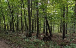 Dug Road, Elmira, NY 14901