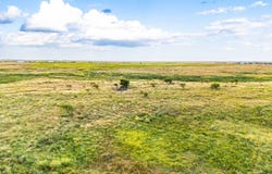 000 N 2260 Rd-80 acers, Frederick, OK 73542