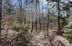 9205 Hwy 9 Highway, Melbourne, AR 72556