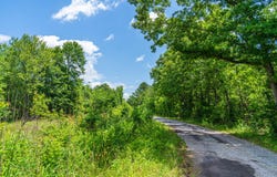 0 Park Circle, Branchville, SC 29432