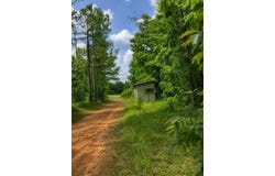 Settlement Road, Detroit, AL 35552