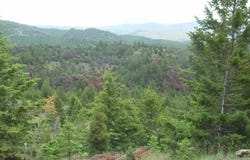 Lookout Trail, Ramsay, MT 59701