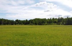 304X S Landala Rd, Maple, WI 54854