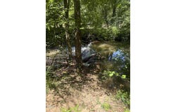 1694 Polly Spout Road, Marion, NC 28752
