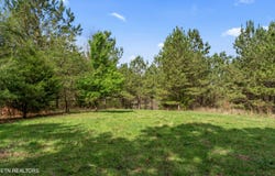 365 Pattie Gap Rd, Philadelphia, TN 37846