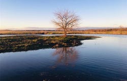 CO RD 4518, Wolfe City, TX 75496