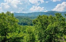 52 Bear Track Rd, ANDREWS, NC 28901