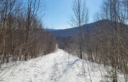 4166 Mines Rd, Lowell, VT 05847