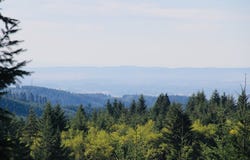 25308 NW MOUNTAIN DR, Banks, OR 97106