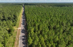 2 State Road 3205, Oberlin, LA 71463