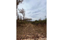 Wire 2 Road, Cheraw, SC 29520