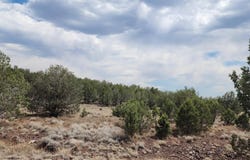 2544 N Double A Rnch Road, Ash Fork, AZ 86320