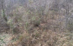 237A Meatscaffold Rd, Jackson, KY 41339