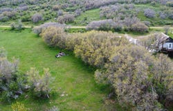 7900 County Road 41, Hamilton, CO 81638
