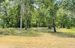NE Highway 150 Way, Pinetta, FL 32350