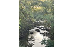 Igou Gap Road, Chattanooga, TN 37421