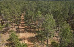 0 Parks Mill, Buckhead, GA 30625