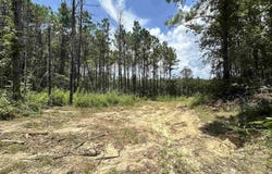 TBD County Road 4210, Woodville, TX 75979