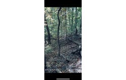 1301 E Brow Road, Signal Mountain, TN 37377