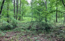 Blue Dunn Dr Lot 20, Murfreesboro, AR 71958