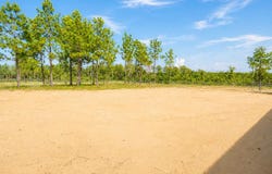 23027 Martin Luther King Dr, State Line, MS 39362