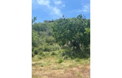 0 St. Moritz, Tehachapi, CA 93561